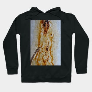 texture_2. dirt. rust Hoodie